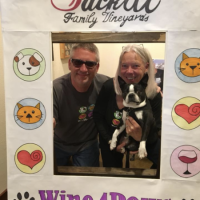 Wine4Paws (2019)